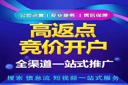 百度推广费用投入与用户转化路径的优化案例